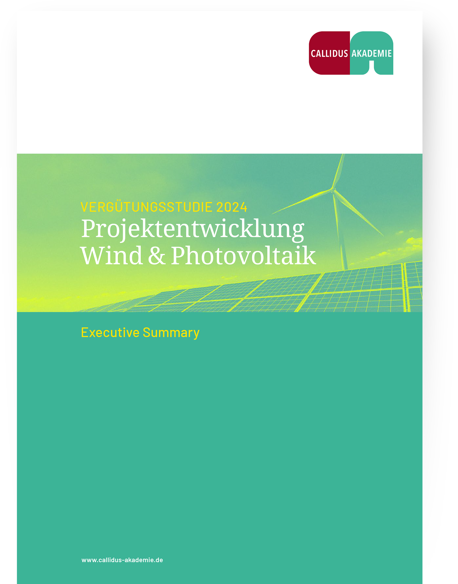 Callidus Akademie, Vergütungsstudie 2024 – Projektentwickler Wind & Photovoltaik